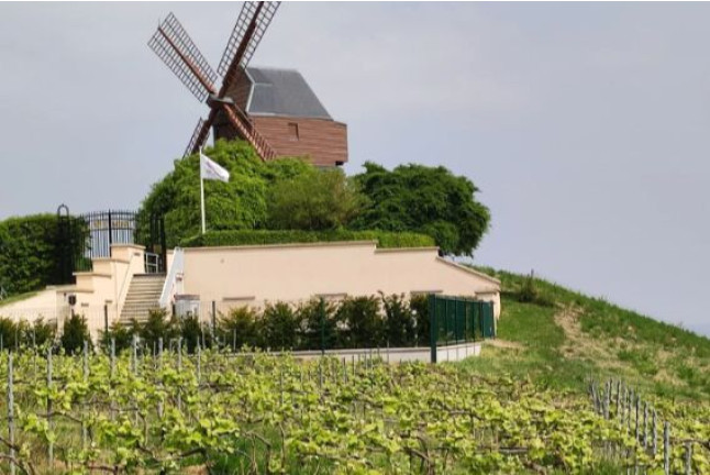 Cours d'Œnologie 3 niveaux (Saint-Herblain, Loire-Atlantique - 44 )