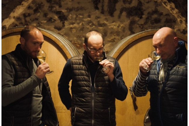Dégustation de 6 Cuvées au Domaine Harlin (Mareuil-le-Port, Marne - 51)