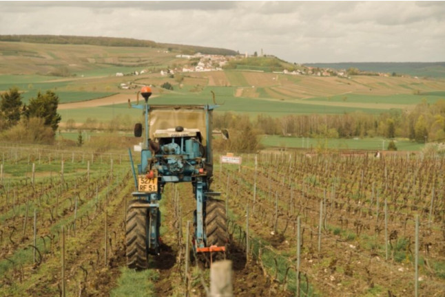 Visite de la Cave avec Dégustation de Champagne au Domaine Harlin (Mareuil-le-Port, Marne - 51)