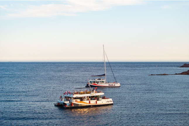 Brunch en Mer en Catamaran (Var / Bouches-du-Rhône / Alpes-Maritimes)