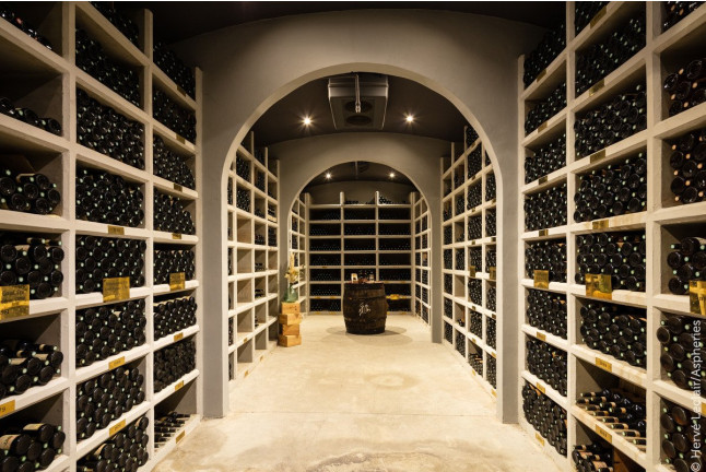 Balade Vigneronne, Visite de la Cave et Dégustation pour deux aux Terres des Templiers (Banyuls-sur-Mer - 66)