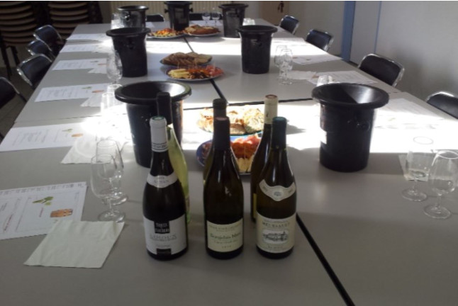 Initiation à la dégustation œnologique (Castelnau-le-Lez, Hérault - 34)