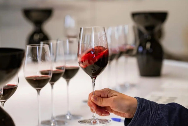 Visite Découverte et Dégustation de Vins en Duo au Château de Ferrand (Saint-Émilion, Gironde - 33)