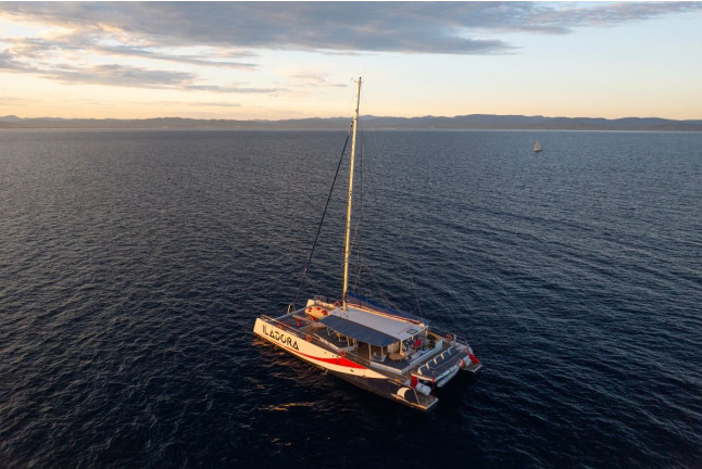 Croisière en Soirée avec Dîner en Catamaran (Var / Bouches-du-Rhône / Alpes-Maritimes)
