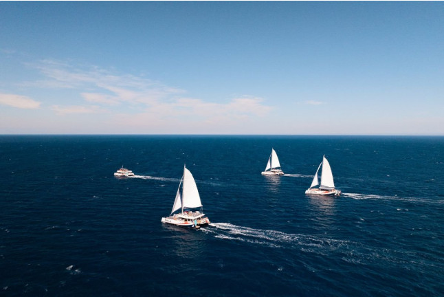 Croisière en Soirée avec Dîner en Catamaran (Var / Bouches-du-Rhône / Alpes-Maritimes)