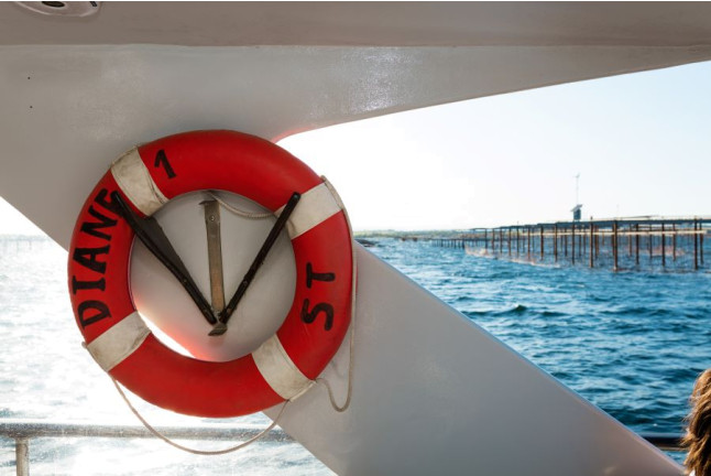 Balade en Bateau avec Dégustation d'Huîtres (Marseillan, Hérault - 34)