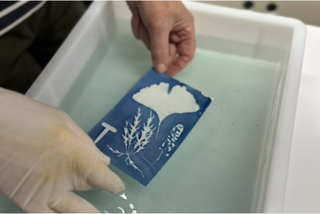 Atelier Cyanotype à Lille (Templemars, Nord - 59)