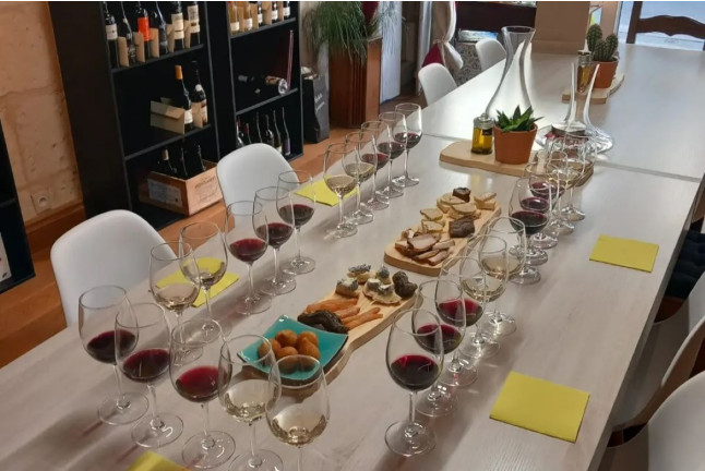 Formation Œnologique et Dégustation de Vins de Loire (Bourgueil, Indre-et-Loire - 37)