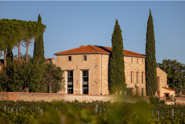 Visite du Domaine Viticole et Dégustation pour deux (Banyuls-dels-Aspres, Pyrénées-Orientales - 66)