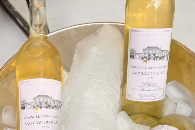 Expérience Fleuve et Vin : Croisière sur la Charente avec Dégustation (Cognac, Charente - 16)