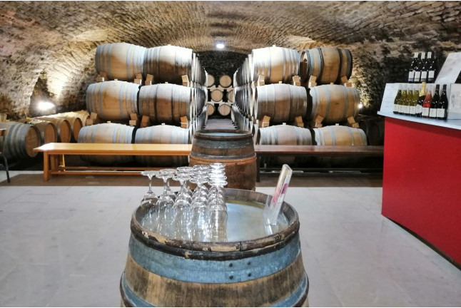 Visite Bulles et Dégustation de Vin pour deux au Château de la Greffière (La Roche Vineuse, Bourgogne - 71)