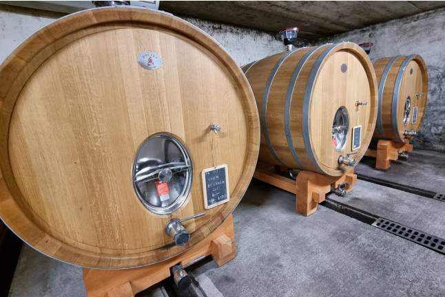 Visite et Dégustation de Vins au Château Capion (Gignac, Hérault - 34)