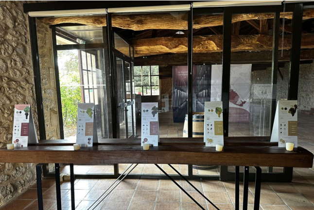 Dégustation de Vin et Visite Œnologique (Podensac, Gironde - 33)