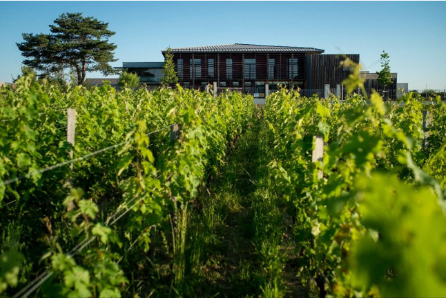 Visite du Domaine Château Couhins et Dégustation d’un Vin Cru Classé de Graves (Villenave d'Ornon, Gironde- 33)