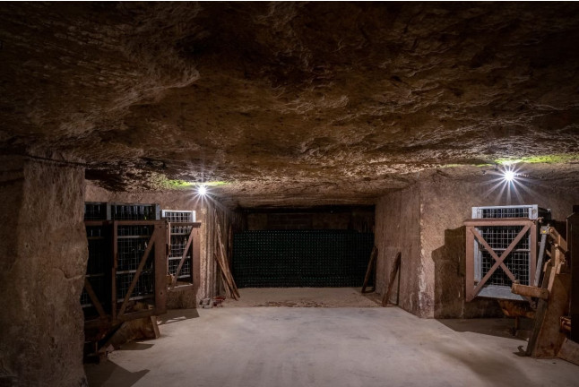 Visite avec Bouteille de Crémant Brut et Dégustation dans les Caves de Monmousseau (Loir-et-Cher -41)