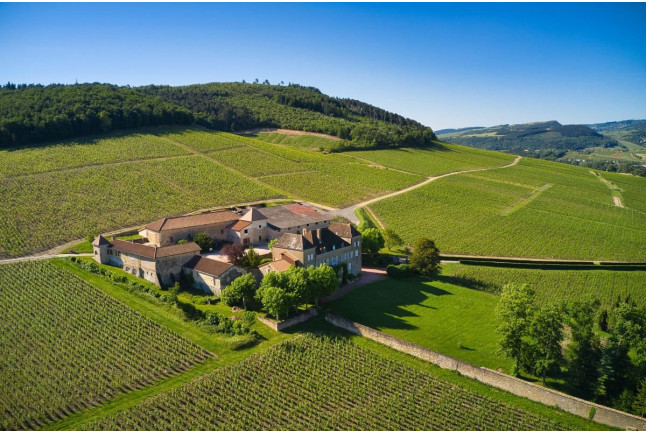 Visite et Dégustation de Vin Mâcon pour deux au Château de la Greffière (La Roche Vineuse, Bourgogne - 71)