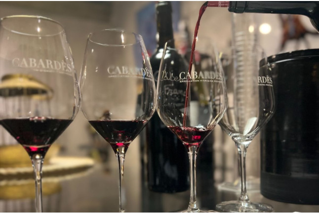 Visite du Domaine et Dégustation de Vins au Château Auzias Paretlongue (Pennautier, Aude - 11)