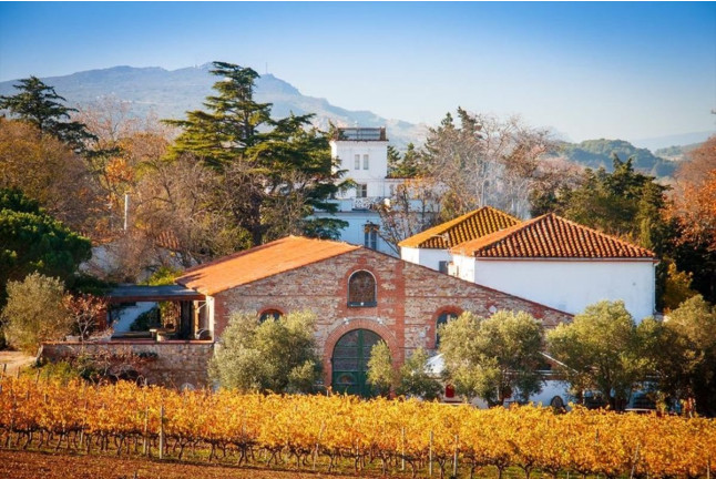 Visite Privative avec Dégustation Verticale de Vin au Domaine de Rombeau (Rivesaltes, Occitanie - 66)