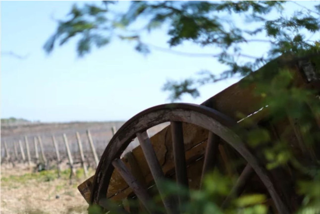 Visite Privative avec Dégustation Verticale de Vin au Domaine de Rombeau (Rivesaltes, Occitanie - 66)
