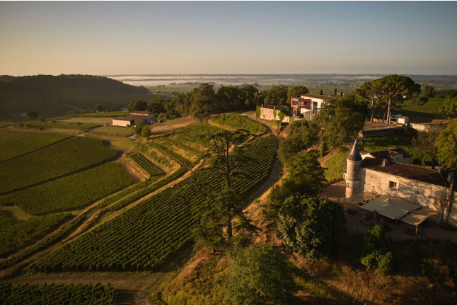 Visite avec Dégustation de Vins et Assiette au Château La Croizille (Saint-Émilion, Gironde- 33)