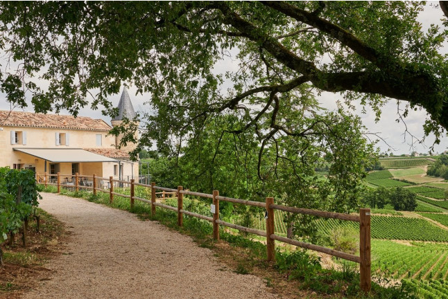 Visite avec Dégustation de Vins et Assiette au Château La Croizille (Saint-Émilion, Gironde- 33)