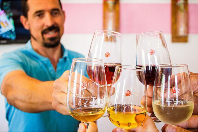 Dégustation Découverte de Vins et de Mets Locaux pour deux (Lisle-sur-Tarn, Tarn - 81)