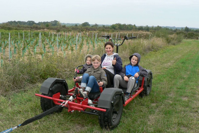 Doggy Kart avec des chiens nordiques (Chênehutte, Maine-et-Loire - 49)