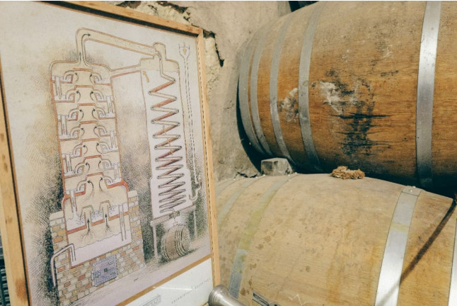 Visite guidée et Dégustation de Vins avec Château Arton (Lectoure, Gers - 32)