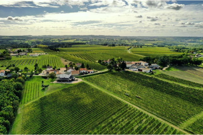 Initiation à l'œnologie au Domaine du Haut Montlong (Pomport, Dordogne - 24)