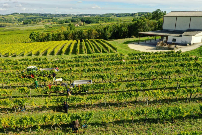 Initiation à l'œnologie au Domaine du Haut Montlong (Pomport, Dordogne - 24)