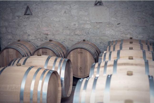Initiation à l'œnologie au Domaine du Haut Montlong (Pomport, Dordogne - 24)
