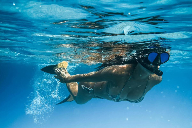 Snorkeling en Randonnée Palmée (Cannes, Alpes-Maritimes - 06)