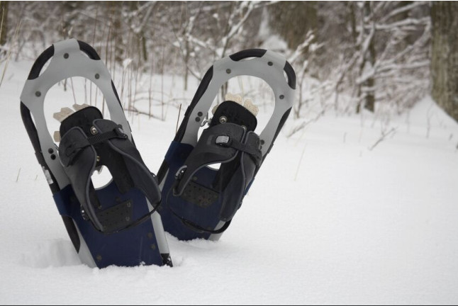 Excursion en Raquettes à Neige (Huesca, Espagne) 