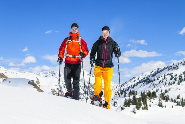 Excursion en Raquettes et en Motoneige pour deux à Boí Taüll (Lleida, Espagne)