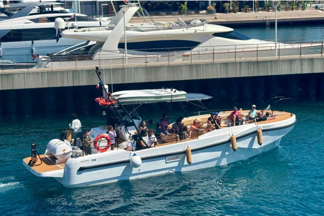 Excursion en Mer avec Observation des Dauphins au Sanctuaire Pelagos (Saint-Raphaël, Var - 83)