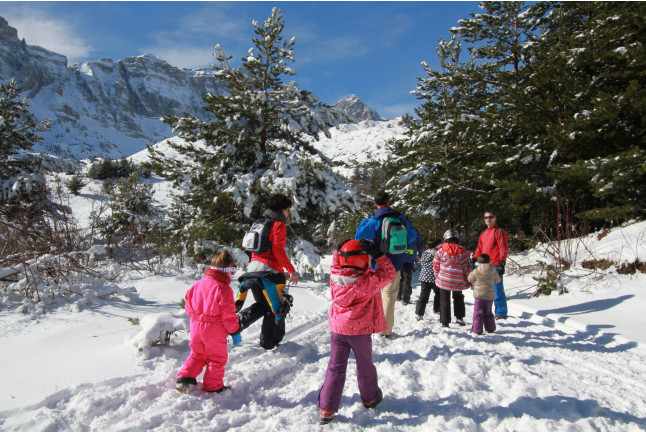 Pack de Survie Nordique : Orientation, Raquettes et Construction d'Igloos (Huesca, Espagne)