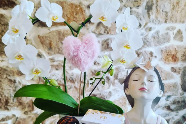 Rituel de France avec Soin Visage et Massage du Corps à L'Institut V (La Turbie, Alpes-Maritimes - 06)