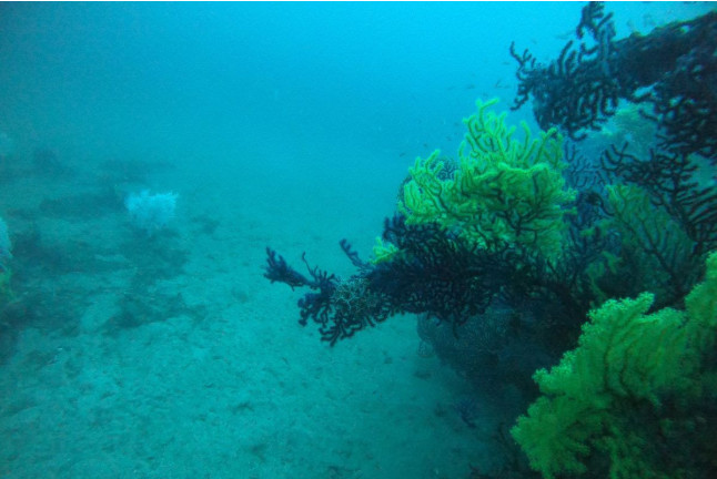 Chasse au Trésor Aquatique (Fréjus, Var - 83)