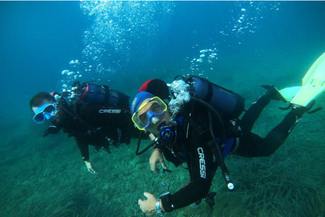 Randonnée Palmée en Mer Méditerranée (Fréjus, Var - 83)