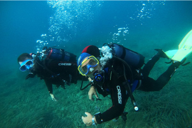 Chasse au Trésor Aquatique (Fréjus, Var - 83)