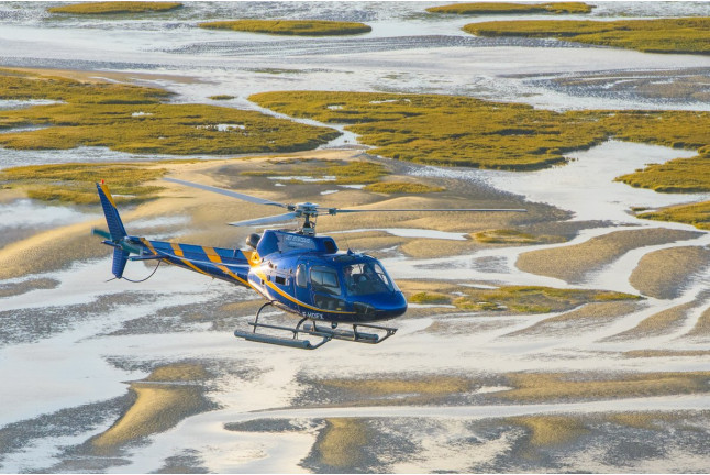 Vol en Hélicoptère (Biscarosse, Landes - 40)