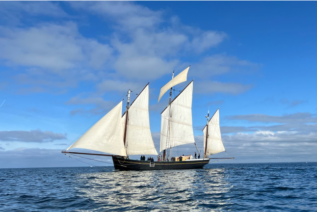 Excursion en Voilier d'une Journée À la découverte des Glénan (Concarneau, Finistère - 29)
