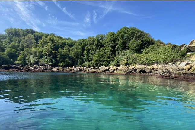 Croisière Journée en Bateau (Hendaye, Pyrénées-Atlantiques - 64)