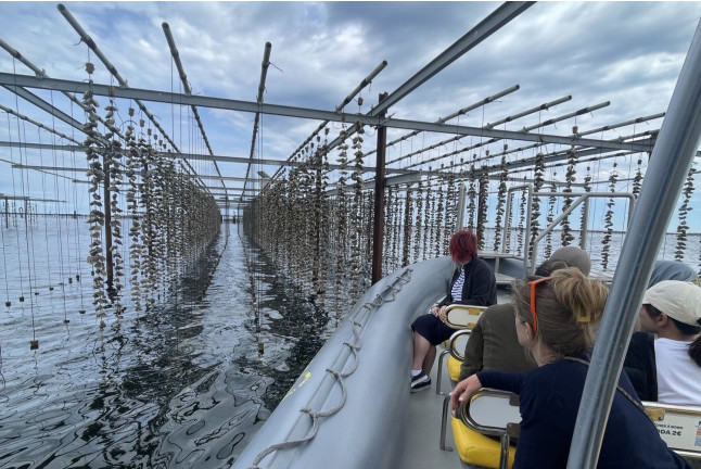 Excursion en Bateau : Canal du Midi et Lagune de Thau (Marseillan, Hérault - 34)