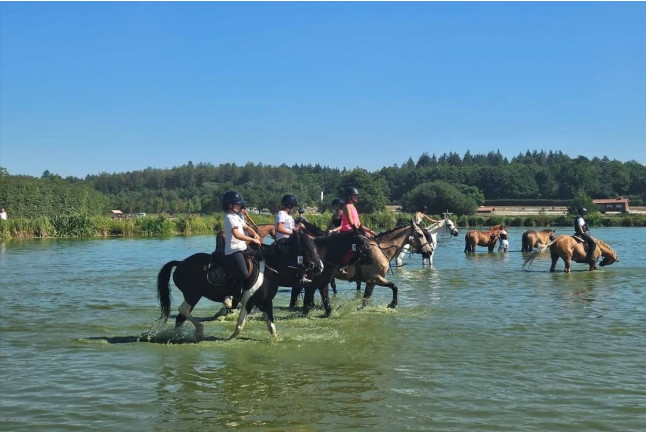 Initiation au Poney Club Le Cheyenne (Seine-et-Marne, Île-de-France- 77)