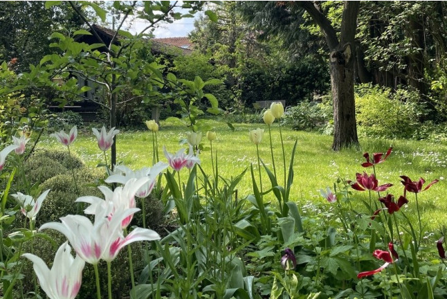 Accès au Spa et Massage à Miriaform (Romainville, Seine-Saint-Denis - 93)