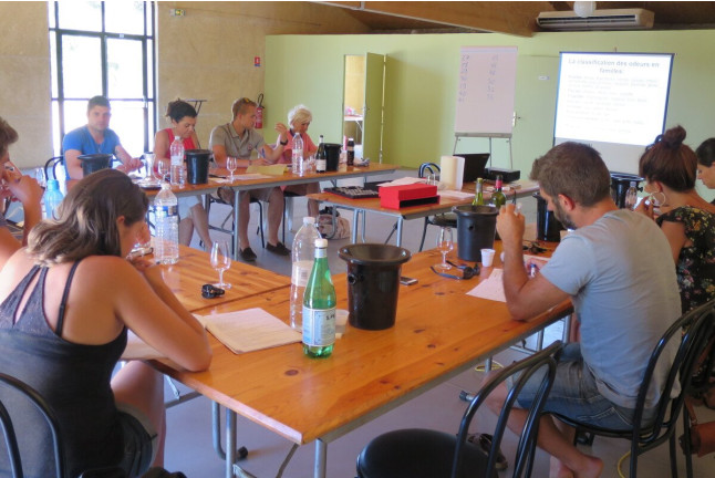 Découvrir les Vins d'une Région avec Dégustation (Montpellier, Hérault - 34)