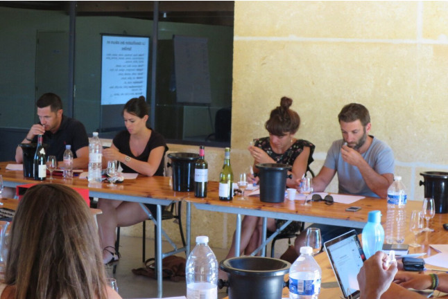Initiation à la Dégustation de 5 Vins (Montpellier, Hérault - 34)