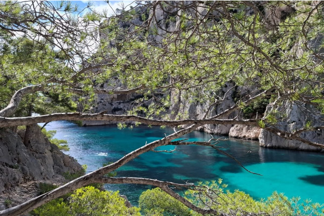 Excursion d’une Journée en Kayak au Parc National des Calanques (Cassis, Bouches-du-Rhône- 13)