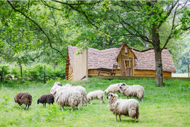 Séjour et Nuit Insolite en Cabane Enchantée avec Petit Déjeuner chez Koadou (Pluméliau, Morbihan - 56)